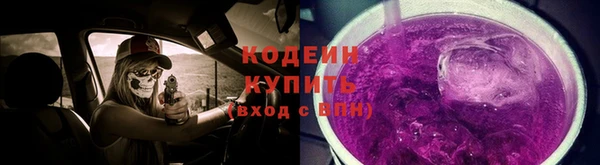 крисы Армянск