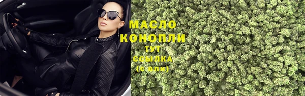 крисы Армянск