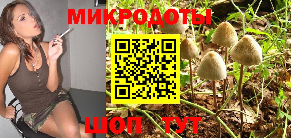 Псилоцибиновые грибы Cubensis Чернушка