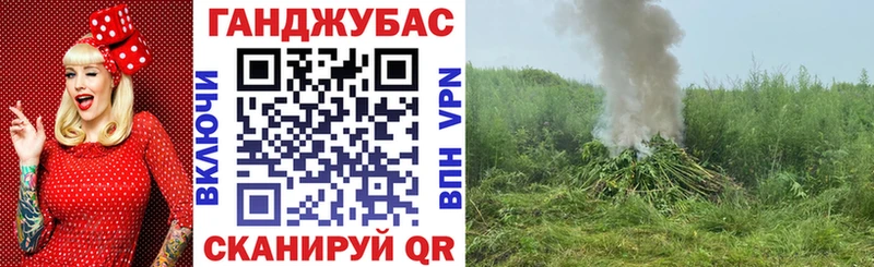 Канабис MAZAR  Чернушка 